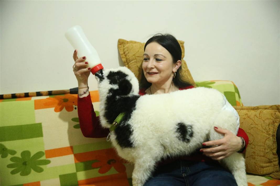 Biberonla besliyor, altına bez bağlıyor... 'Boncuk' Gülcihan teyzenin dördüncü çocuğu oldu 13