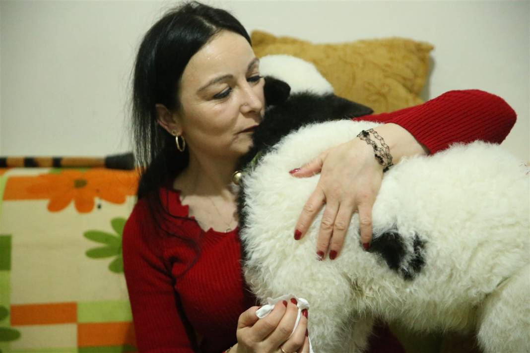 Biberonla besliyor, altına bez bağlıyor... 'Boncuk' Gülcihan teyzenin dördüncü çocuğu oldu 10