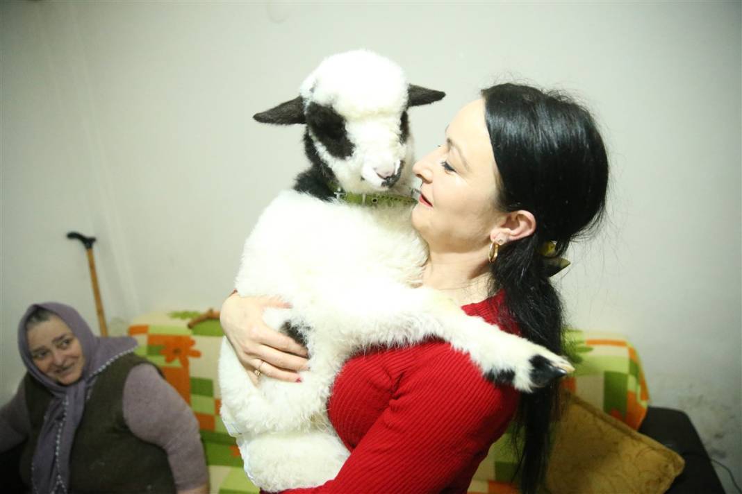 Biberonla besliyor, altına bez bağlıyor... 'Boncuk' Gülcihan teyzenin dördüncü çocuğu oldu 9