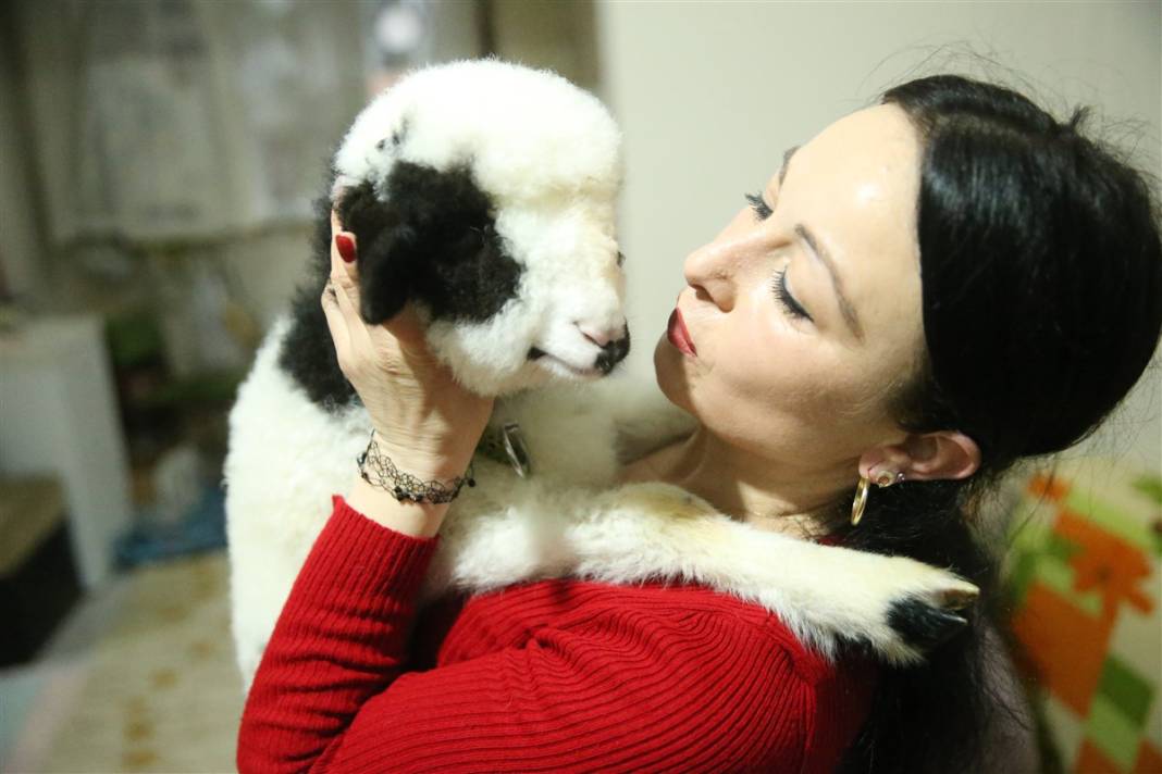 Biberonla besliyor, altına bez bağlıyor... 'Boncuk' Gülcihan teyzenin dördüncü çocuğu oldu 11