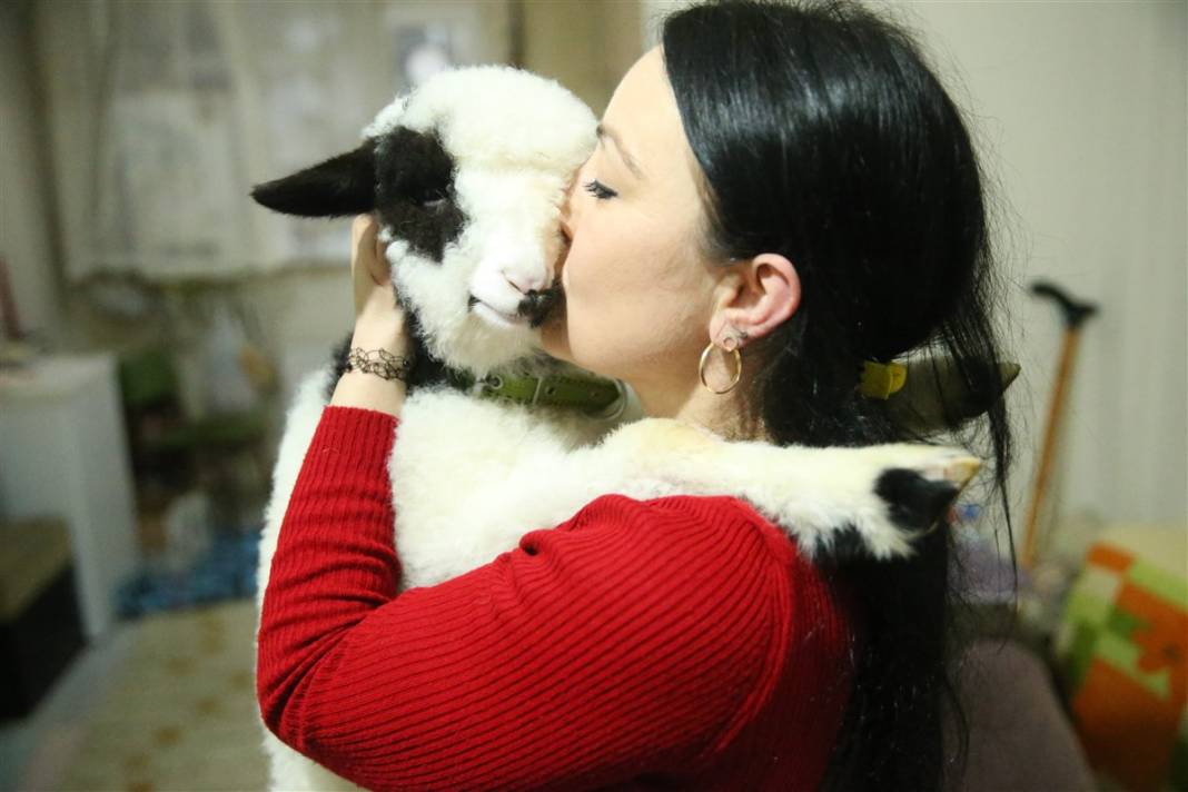 Biberonla besliyor, altına bez bağlıyor... 'Boncuk' Gülcihan teyzenin dördüncü çocuğu oldu 8