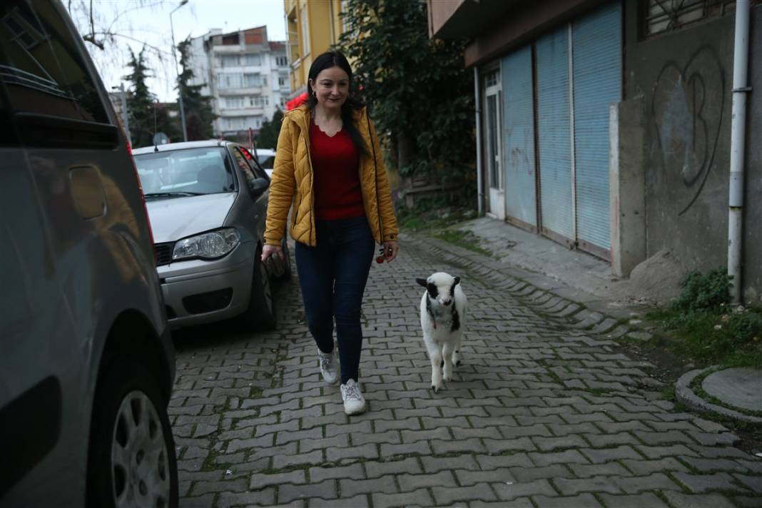 Biberonla besliyor, altına bez bağlıyor... 'Boncuk' Gülcihan teyzenin dördüncü çocuğu oldu 1