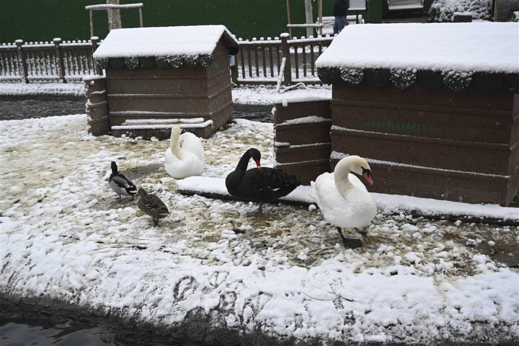 Ankara güne bembeyaz uyandı! Kar yağışı gün boyu devam edecek 15