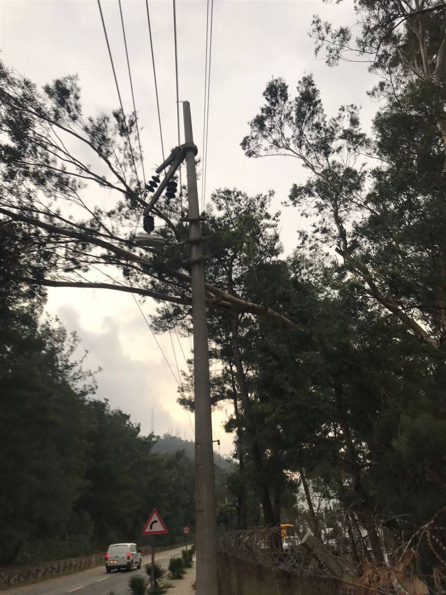 Marmaris'te şiddetli fırtına! Dev dalgalar oluştu, ağaçlar devrildi, camlar patladı... 4