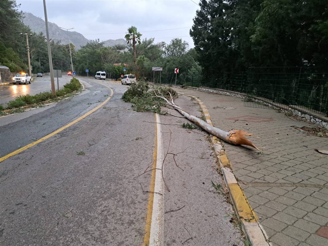 Marmaris'te şiddetli fırtına! Dev dalgalar oluştu, ağaçlar devrildi, camlar patladı... 3