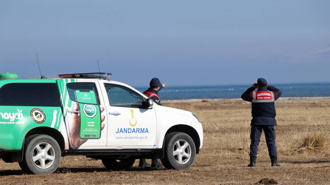 Rusya'dan göç edip Van'a geldiler: Jandarmadan kuğu nöbeti 2