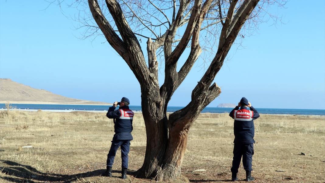 Rusya'dan göç edip Van'a geldiler: Jandarmadan kuğu nöbeti 6