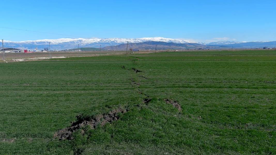 Tarlalar yarıldı, tümsekler oluştu, fareler istila etti... Kuşbakışı facia 12