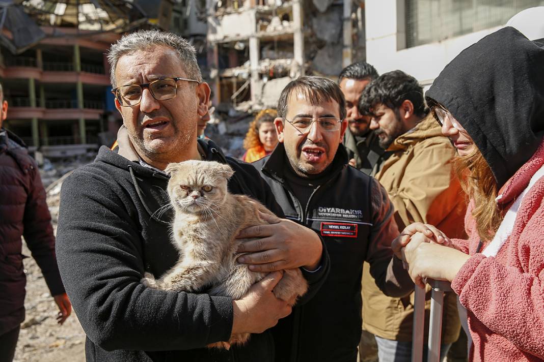 Tepkiler üzerine yıkımı durdurulmuştu: Kurtarılan kedi sayısı 13'e yükseldi 9