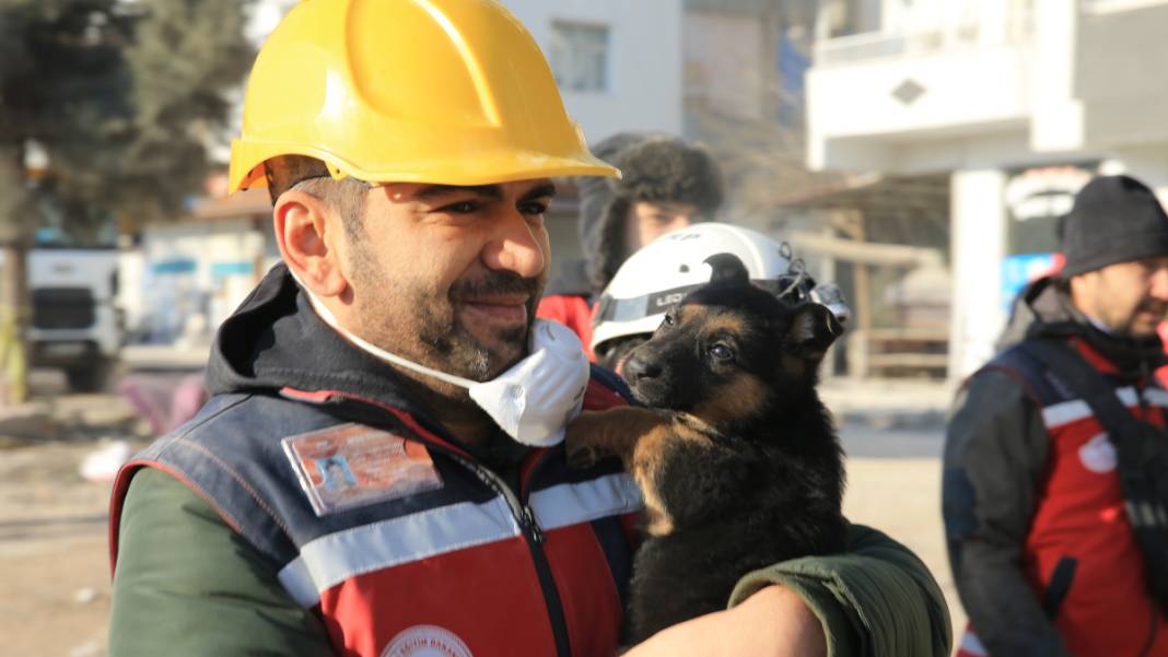 Anne köpek ve yavrularından 124 saatlik direniş: Diyarbakır'ın 'minik mucizeleri' 10