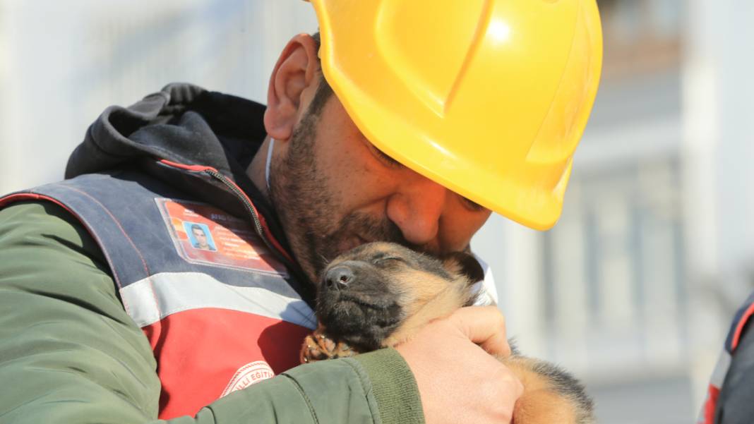 Anne köpek ve yavrularından 124 saatlik direniş: Diyarbakır'ın 'minik mucizeleri' 11