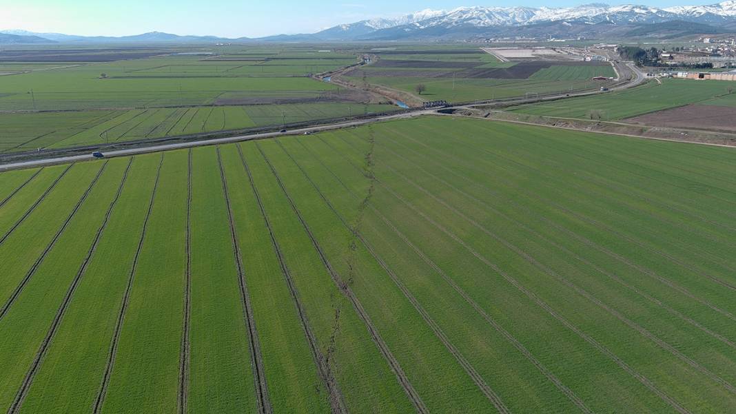 Tarlalar yarıldı, tümsekler oluştu, fareler istila etti... Kuşbakışı facia 2