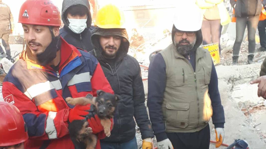 Anne köpek ve yavrularından 124 saatlik direniş: Diyarbakır'ın 'minik mucizeleri' 1