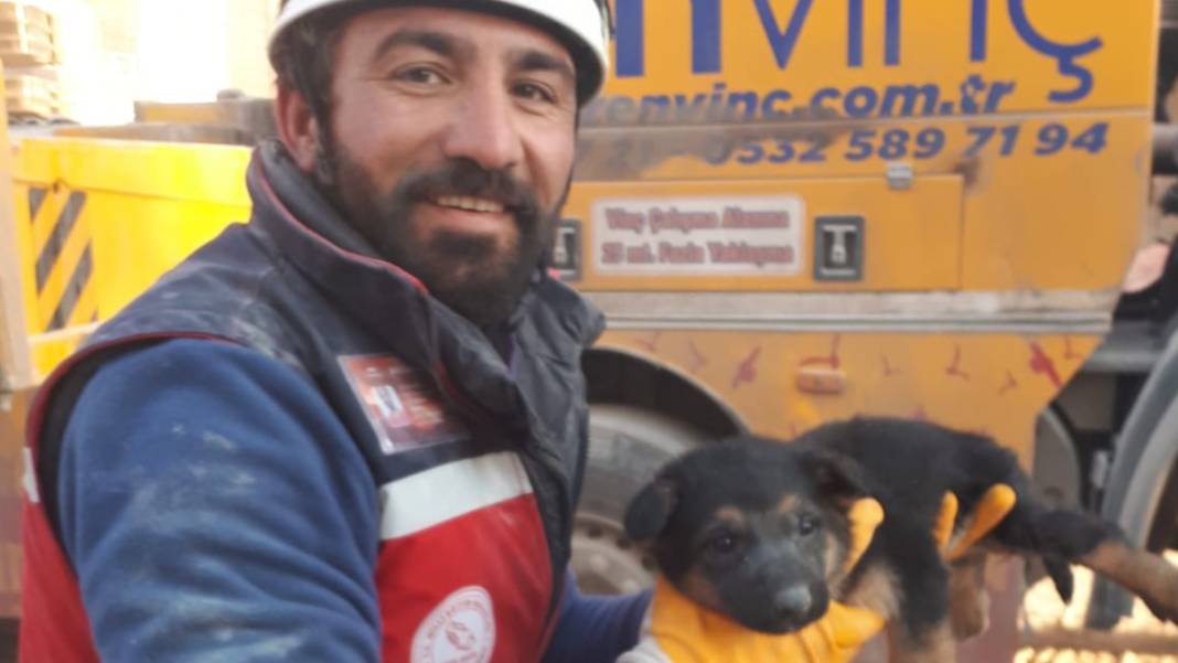 Anne köpek ve yavrularından 124 saatlik direniş: Diyarbakır'ın 'minik mucizeleri' 2