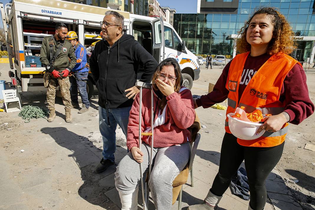 Tepkiler üzerine yıkımı durdurulmuştu: Kurtarılan kedi sayısı 13'e yükseldi 8