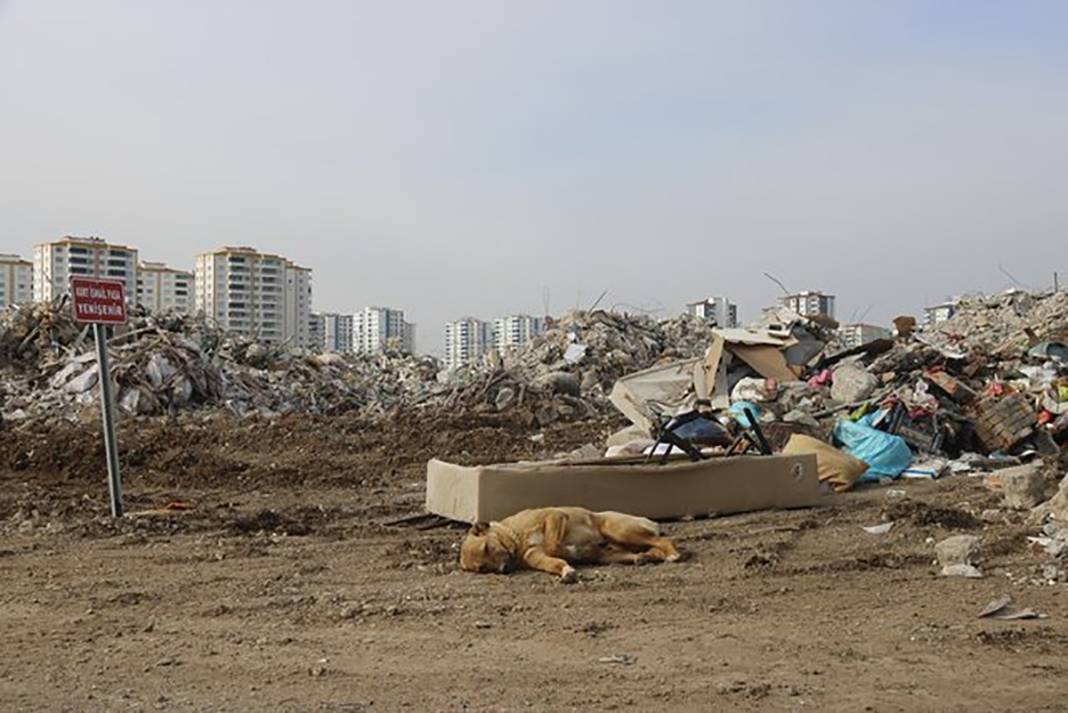 Depremden sonra yürekleri sızlatan manzara: Binaların yerini tabelalar aldı 8