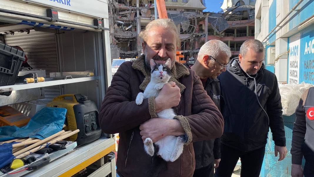 Tepkiler üzerine yıkımı durdurulmuştu: Kurtarılan kedi sayısı 13'e yükseldi 6