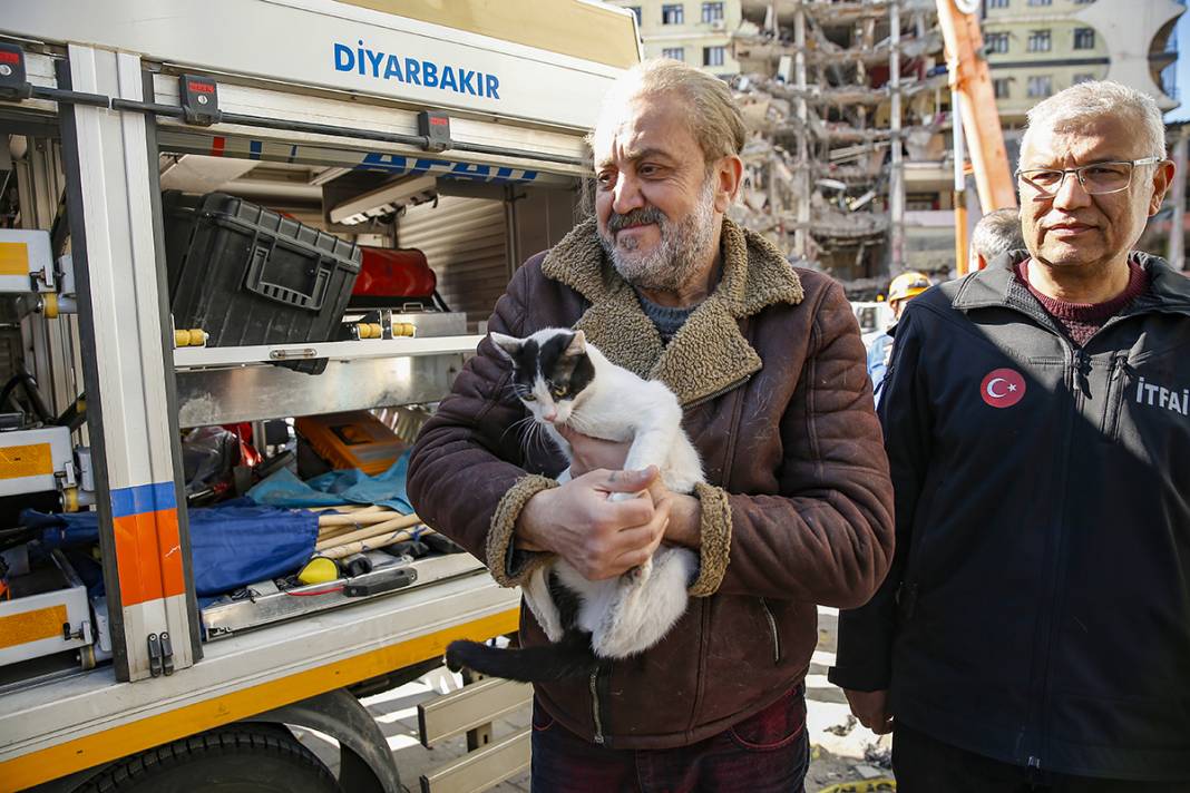 Tepkiler üzerine yıkımı durdurulmuştu: Kurtarılan kedi sayısı 13'e yükseldi 11