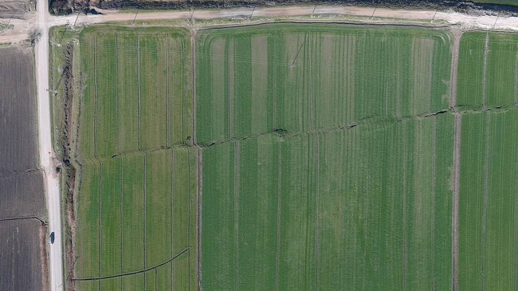 Tarlalar yarıldı, tümsekler oluştu, fareler istila etti... Kuşbakışı facia 8