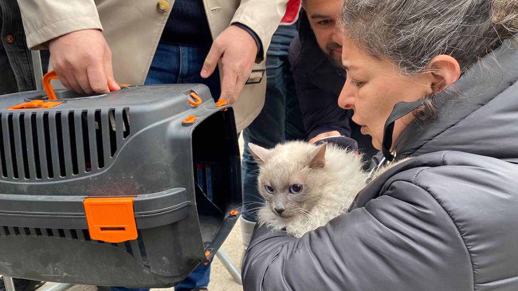 Yedi can hayata yeniden 'merhaba' dedi: Galeria'daki yıkım sosyal medyayı ayağa kaldırmıştı 10