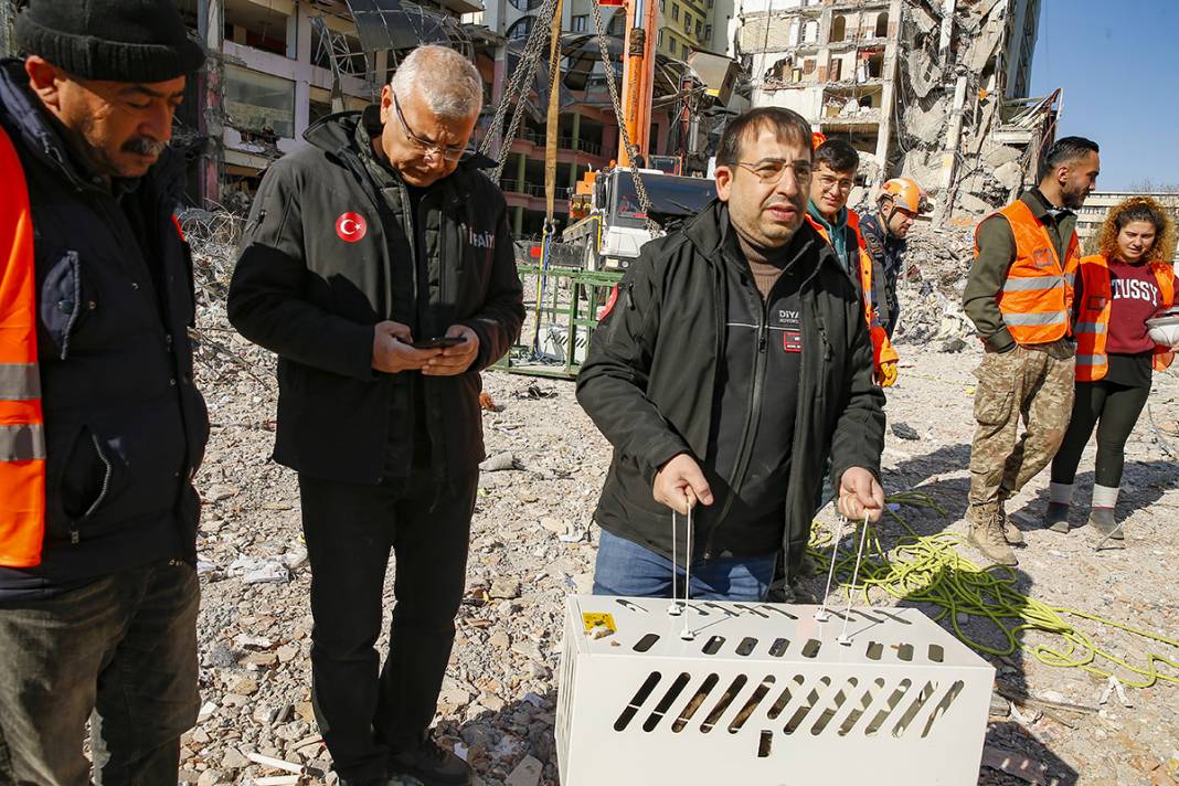 Tepkiler üzerine yıkımı durdurulmuştu: Kurtarılan kedi sayısı 13'e yükseldi 4