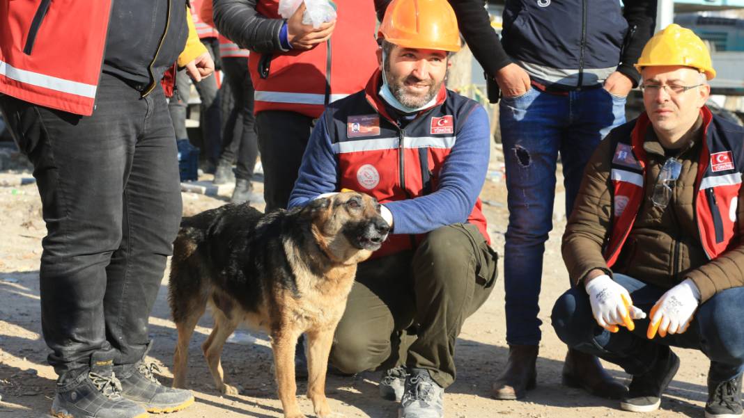 Anne köpek ve yavrularından 124 saatlik direniş: Diyarbakır'ın 'minik mucizeleri' 3
