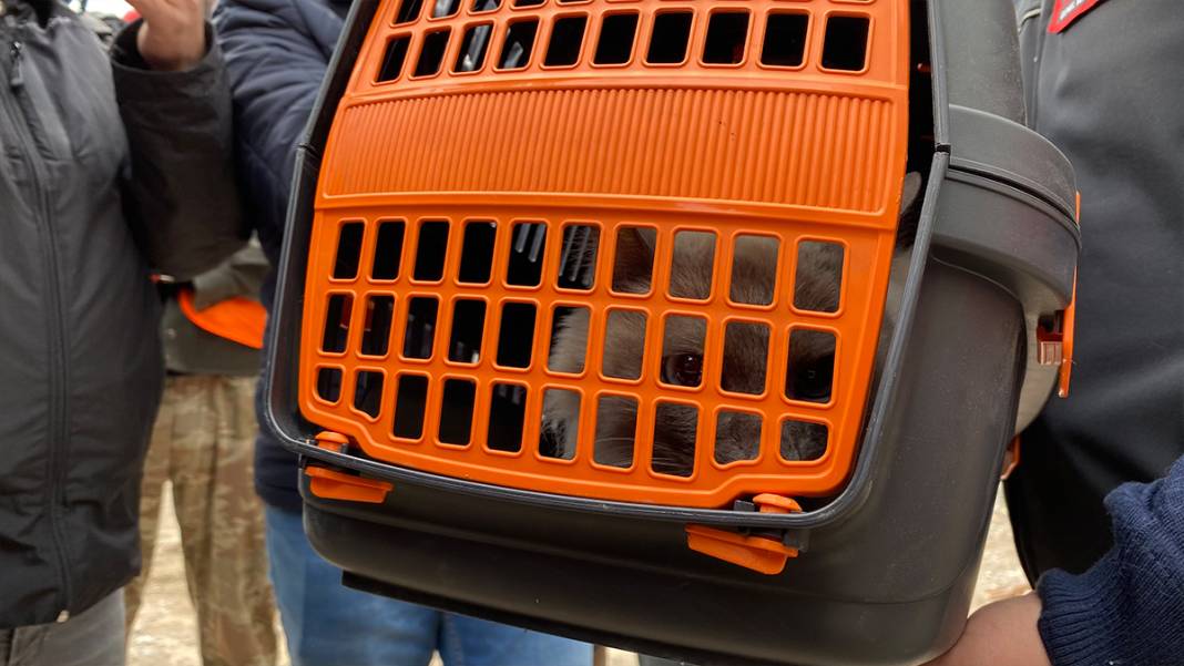 Yedi can hayata yeniden 'merhaba' dedi: Galeria'daki yıkım sosyal medyayı ayağa kaldırmıştı 6