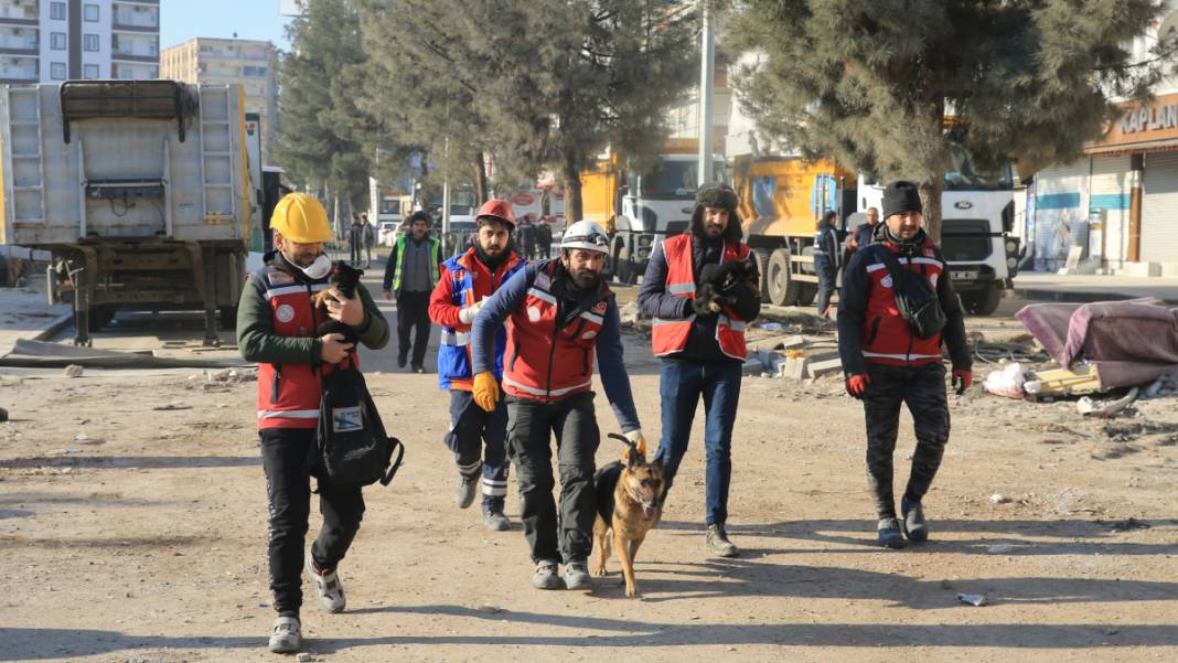 Anne köpek ve yavrularından 124 saatlik direniş: Diyarbakır'ın 'minik mucizeleri' 4