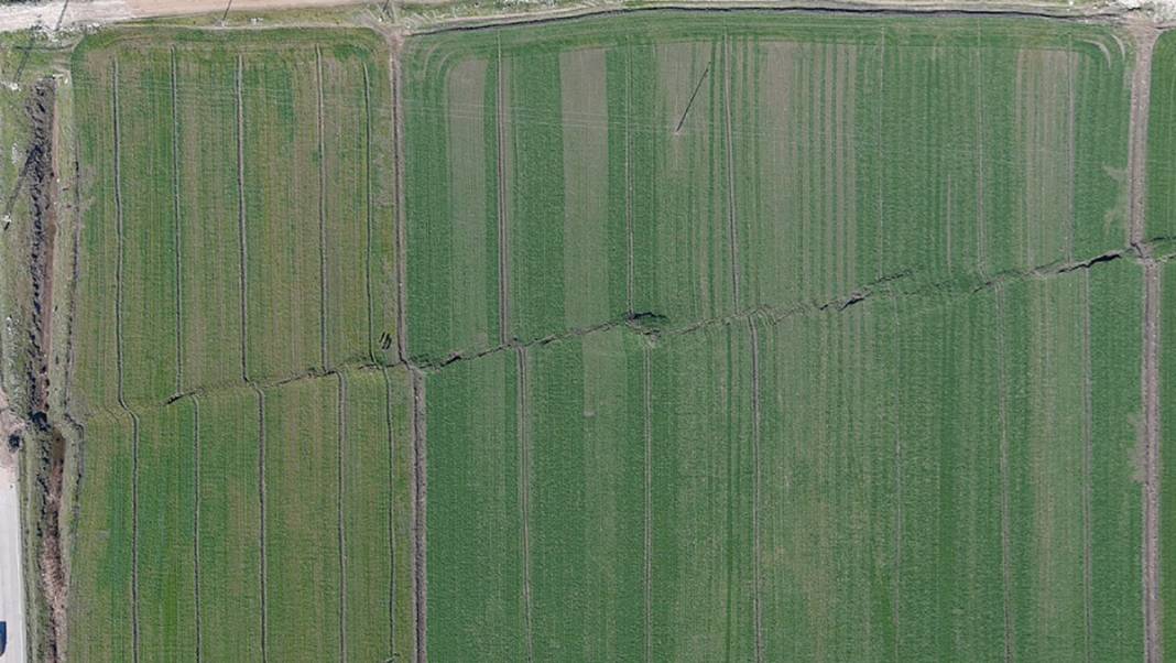 Tarlalar yarıldı, tümsekler oluştu, fareler istila etti... Kuşbakışı facia 7