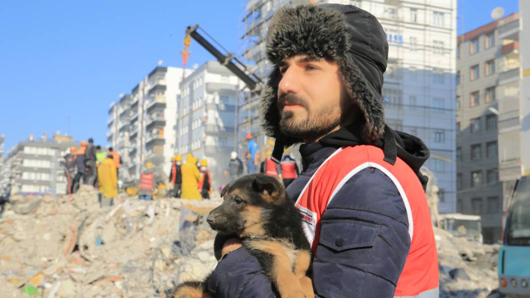 Anne köpek ve yavrularından 124 saatlik direniş: Diyarbakır'ın 'minik mucizeleri' 9