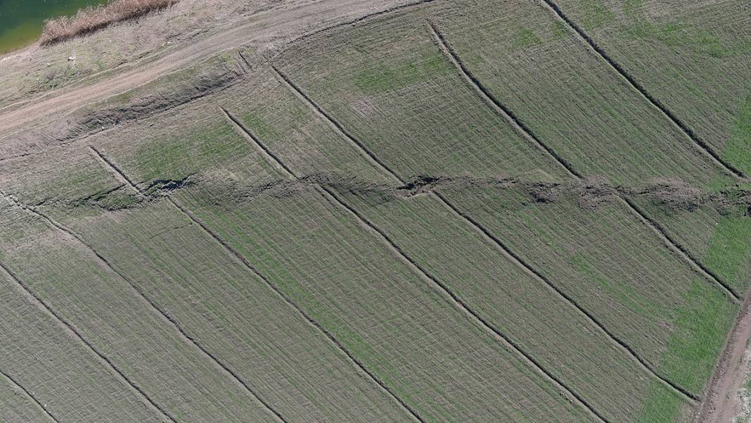 Tarlalar yarıldı, tümsekler oluştu, fareler istila etti... Kuşbakışı facia 6