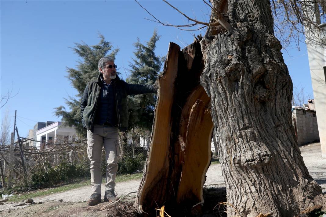 Ortadan ikiye yarıldı, tam 1 metre... Deprem uzmanı Kahramanmaraş'taki şaşırtan görüntüyü yorumladı 7