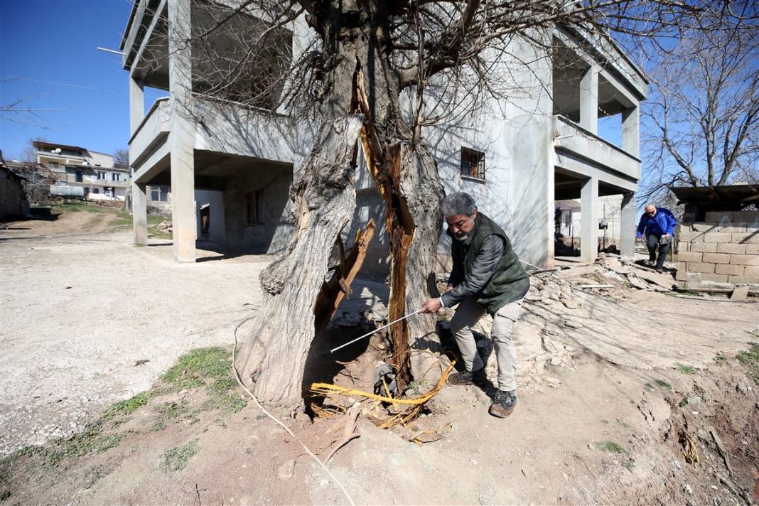 Ortadan ikiye yarıldı, tam 1 metre... Deprem uzmanı Kahramanmaraş'taki şaşırtan görüntüyü yorumladı 4