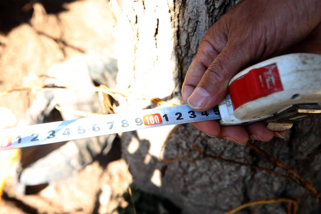 Ortadan ikiye yarıldı, tam 1 metre... Deprem uzmanı Kahramanmaraş'taki şaşırtan görüntüyü yorumladı 5