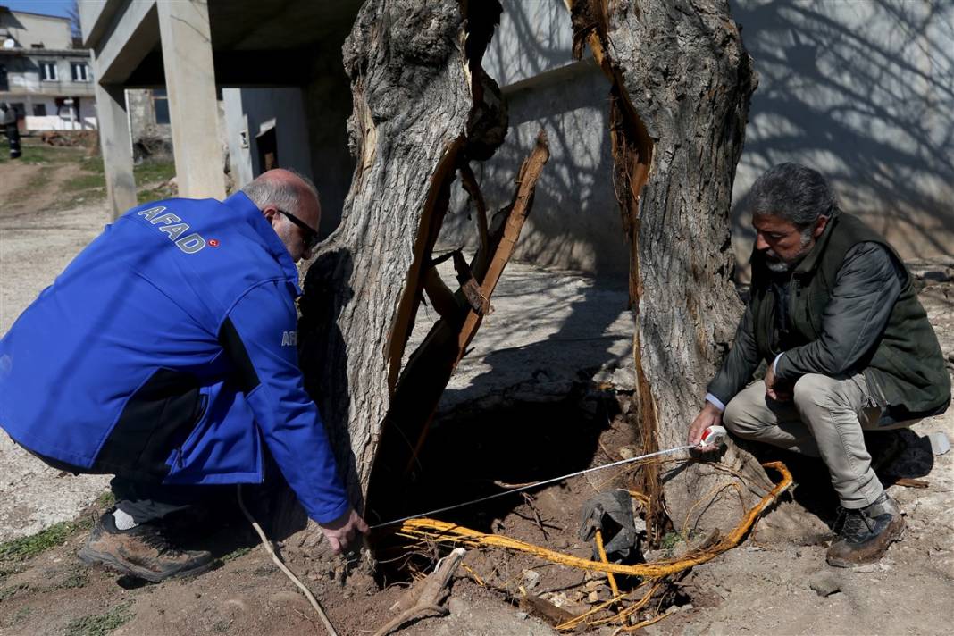 Ortadan ikiye yarıldı, tam 1 metre... Deprem uzmanı Kahramanmaraş'taki şaşırtan görüntüyü yorumladı 3