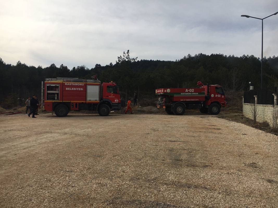 Çöp yakmak isterken ormanı tutuşturdu 5