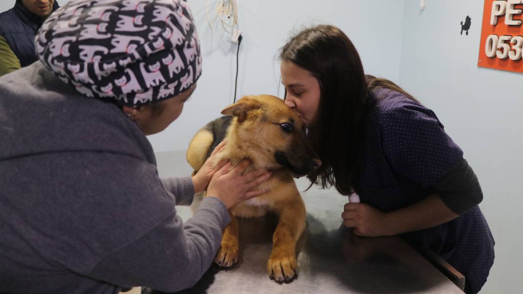 Enkazdan kurtarılan can dostlarımız umut oldu 5