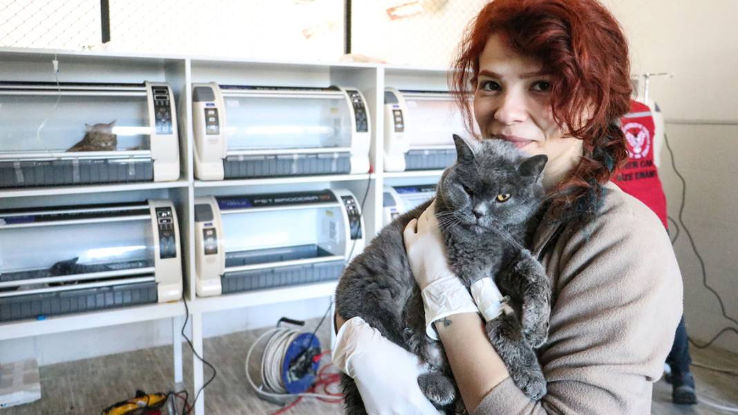 Enkazdan kurtarılan can dostlarımız umut oldu 7