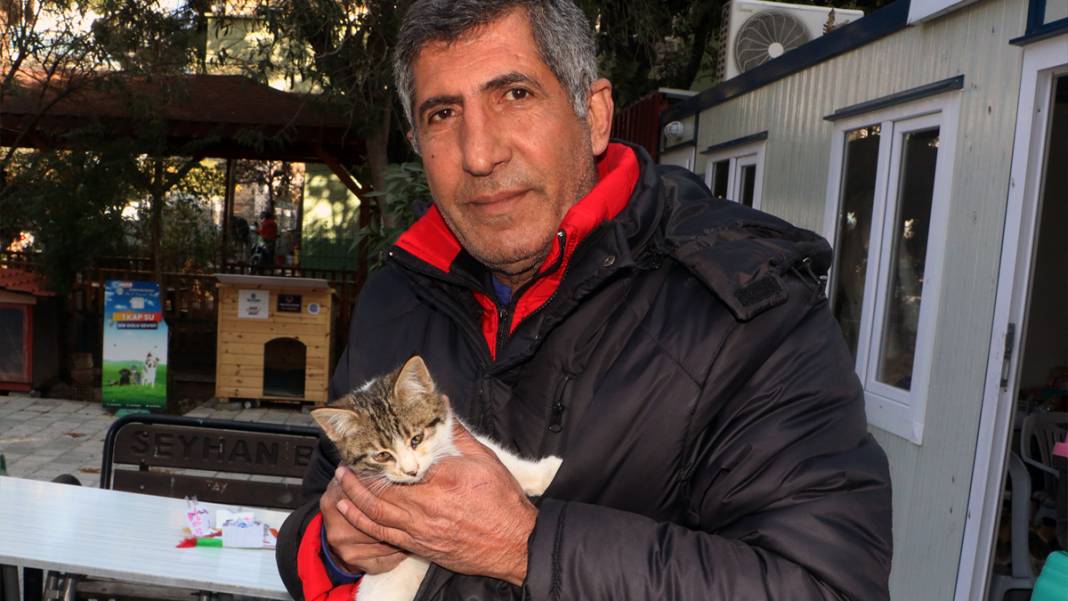 Mahalleler boşaldı, hayvanlar kimsesiz kaldı: Sokaktaki canlar yiyecek bulamıyor 7