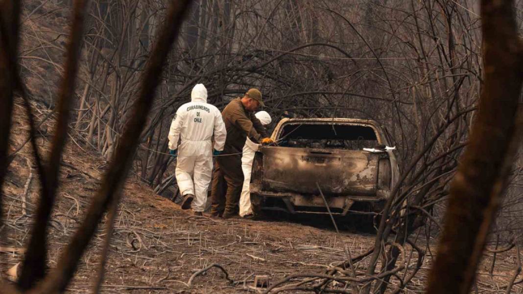 Orman yangınlarında bilanço ağırlaşıyor: Şili’yi alevler yuttu 5