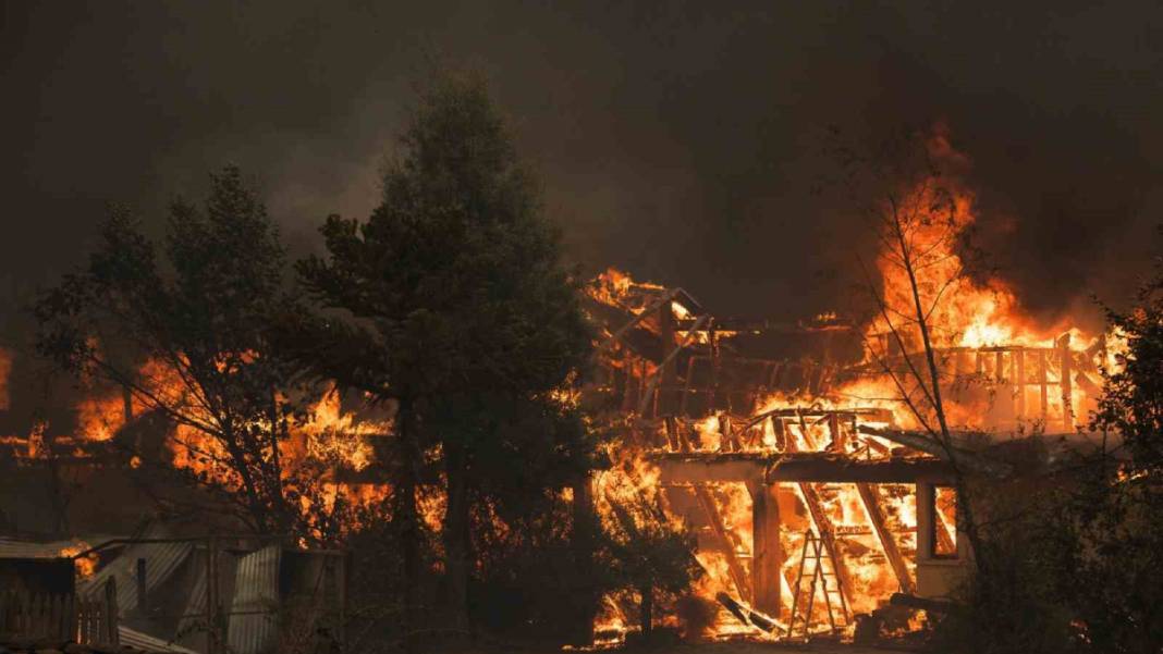 Orman yangınlarında bilanço ağırlaşıyor: Şili’yi alevler yuttu 1