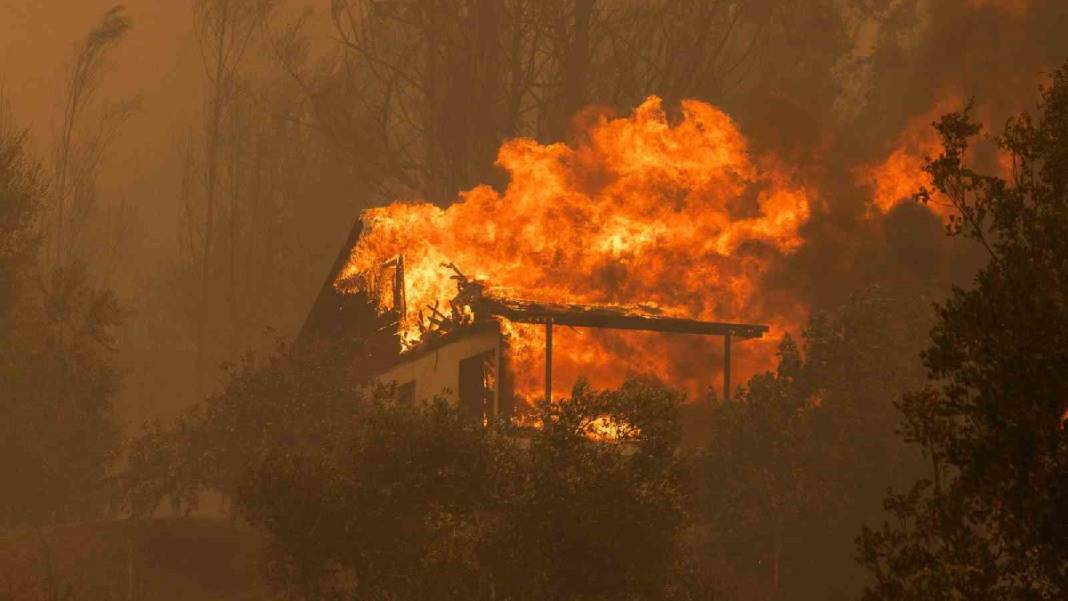 Orman yangınlarında bilanço ağırlaşıyor: Şili’yi alevler yuttu 2