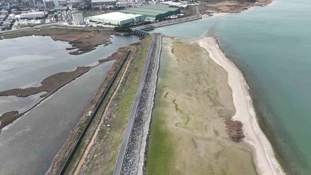 İstanbul'da korkutan görüntü! Balıkların olduğu yerde koyunlar otluyor 3