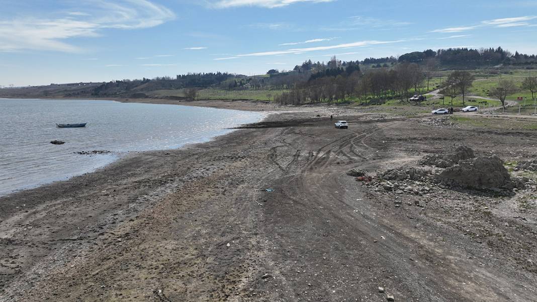 İstanbul'da korkutan görüntü! Balıkların olduğu yerde koyunlar otluyor 1