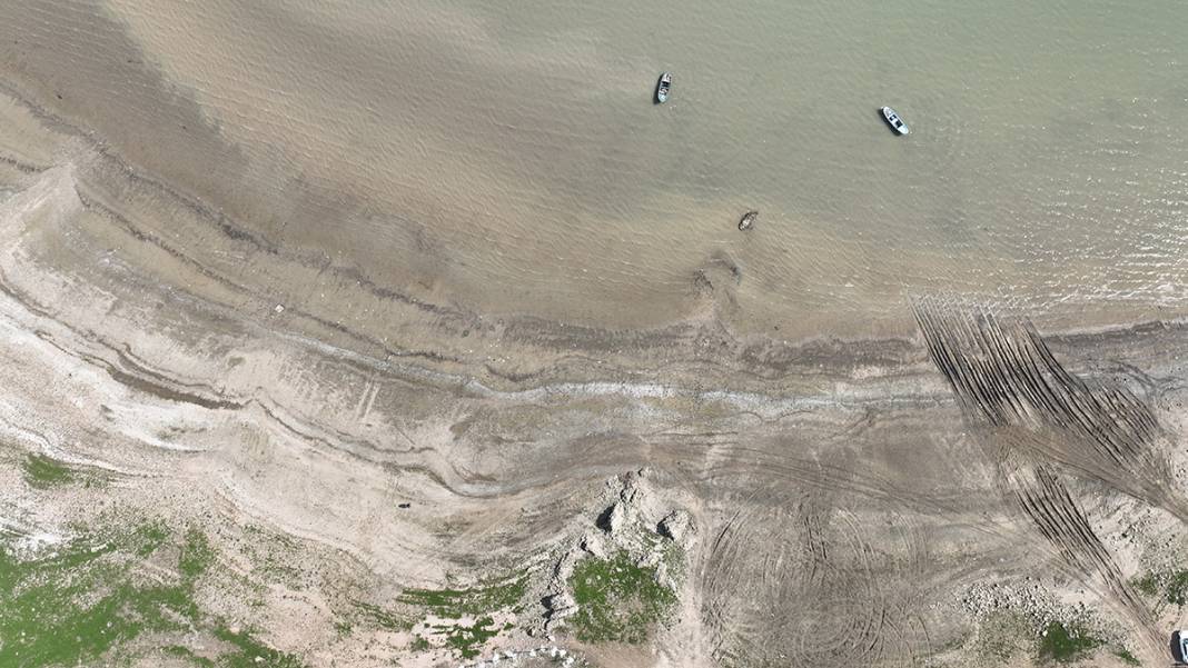 İstanbul'da korkutan görüntü! Balıkların olduğu yerde koyunlar otluyor 2