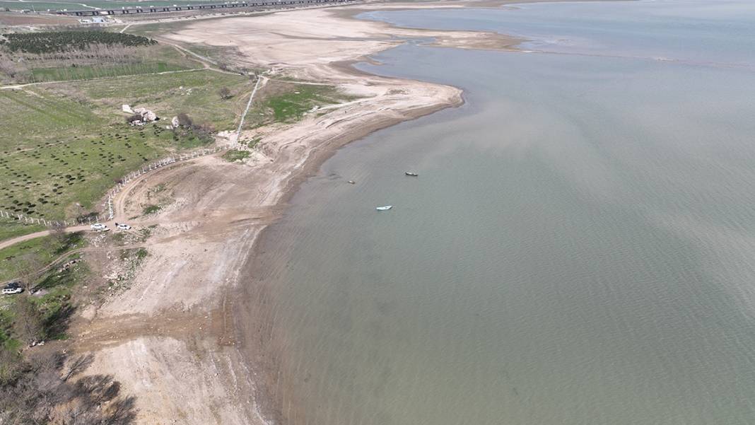 İstanbul'da korkutan görüntü! Balıkların olduğu yerde koyunlar otluyor 9