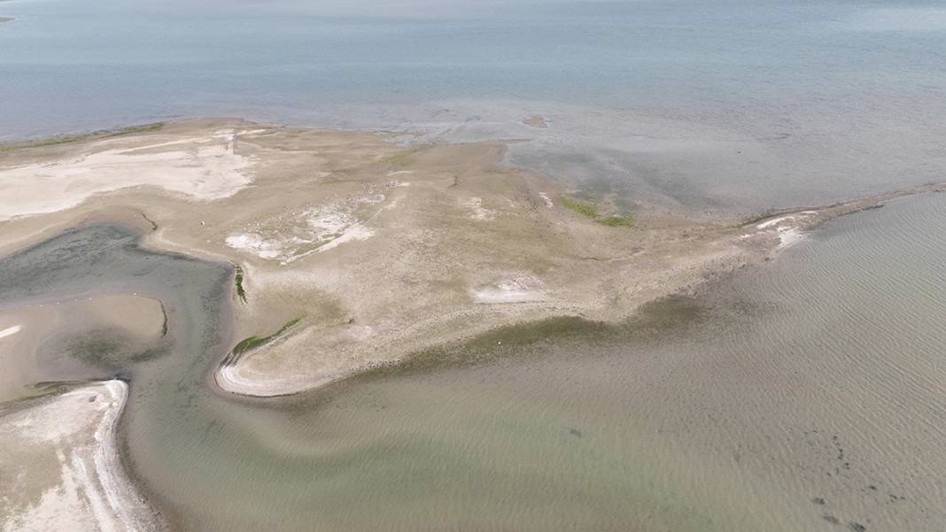 İstanbul'da korkutan görüntü! Balıkların olduğu yerde koyunlar otluyor 4