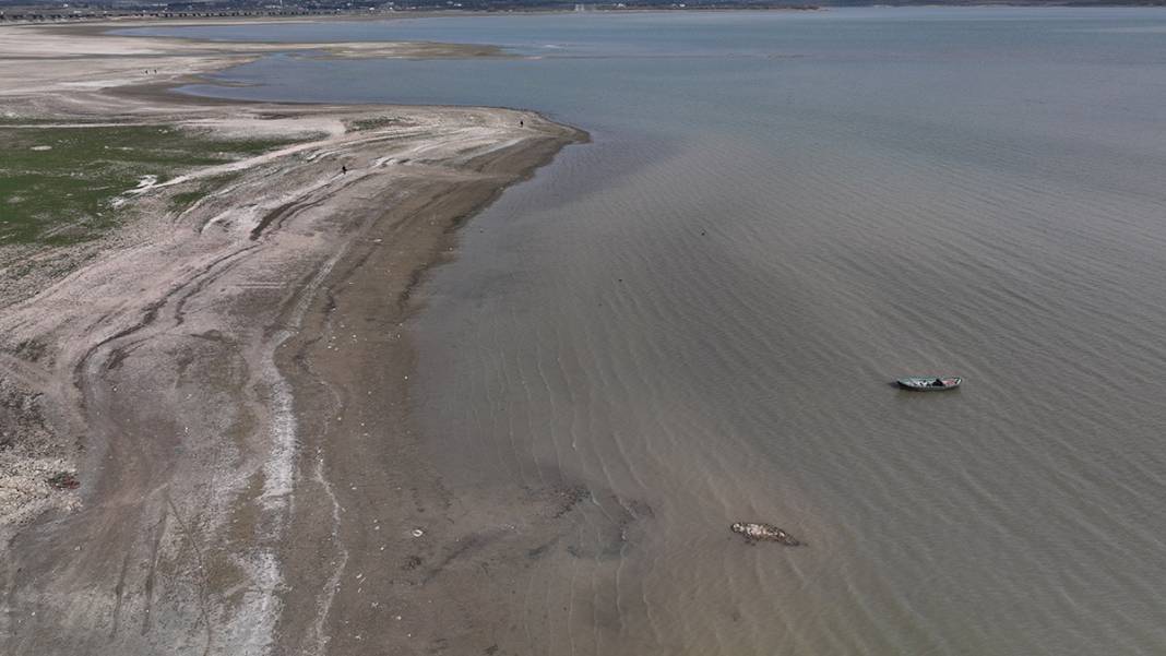 İstanbul'da korkutan görüntü! Balıkların olduğu yerde koyunlar otluyor 6