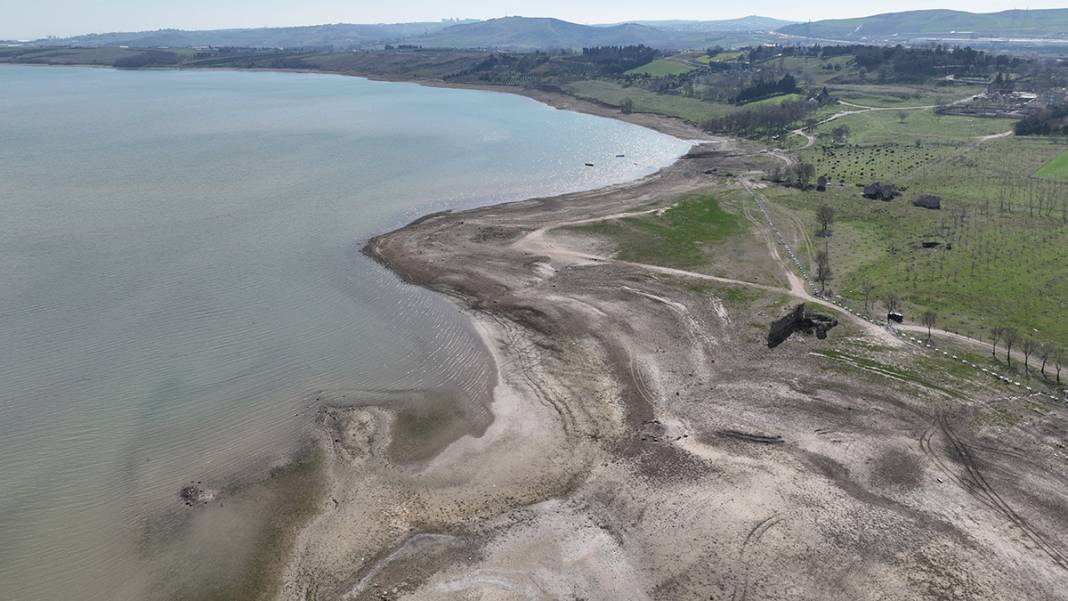 İstanbul'da korkutan görüntü! Balıkların olduğu yerde koyunlar otluyor 7