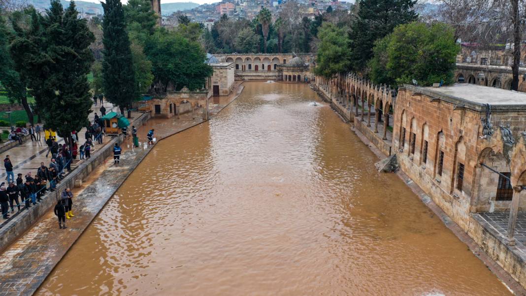 Taşkın yaşanan Balıklıgöl'de sular çekildi: Balıklara ne oldu? 2